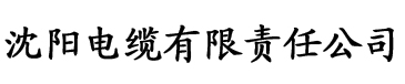 91香蕉app污版电缆厂logo